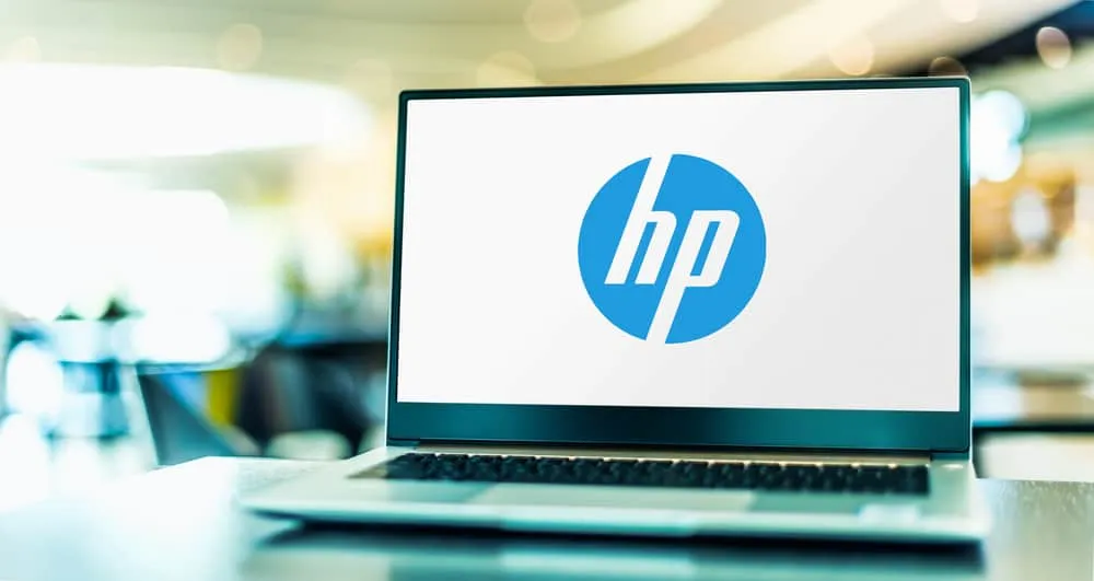 Do I Need HP Support Solutions Framework? (Everything To Know)